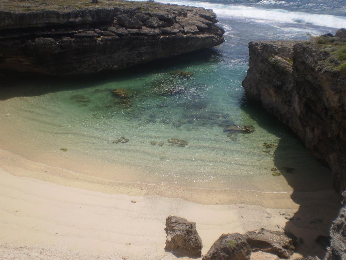 Green Wood Lodge Petit Brule المظهر الخارجي الصورة